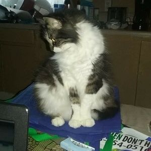 Meet your Posher, Jacob